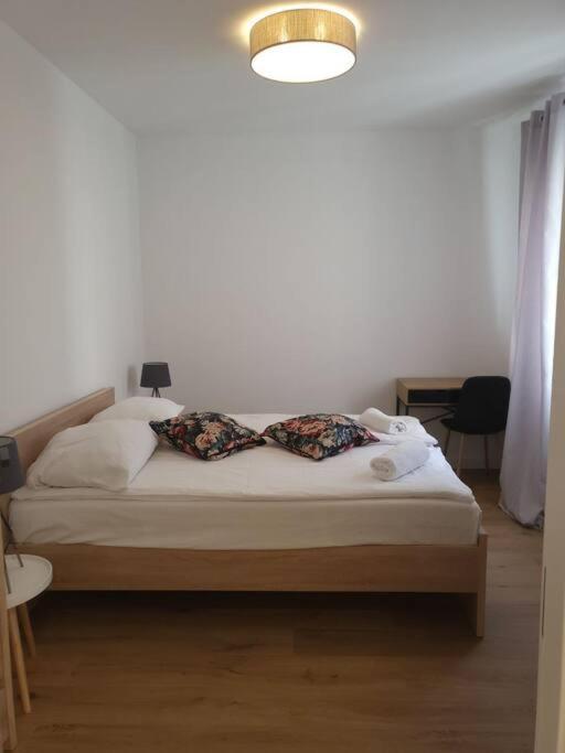 Apartament Duzy Apartament W Centrum - 3 Pokoje - Garaz Wrocław Zewnętrze zdjęcie